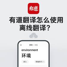 youdao-7