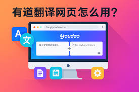 youdao-8